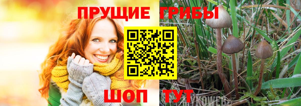купить  сайты  Псилоцибиновые грибы мухоморы  Вход с VPN  Калуга 